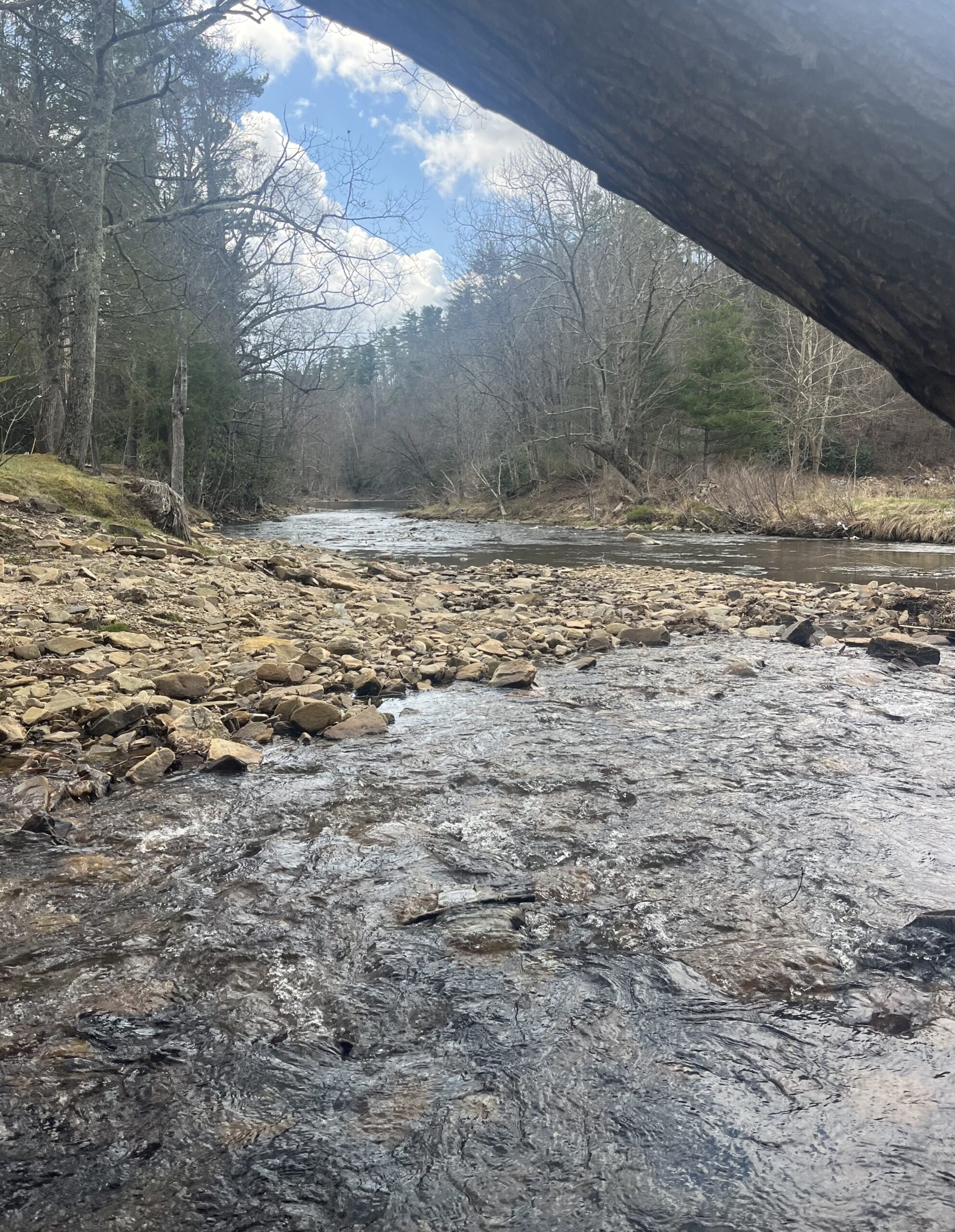 Chloe’s Lens of Advocacy: Be the Light